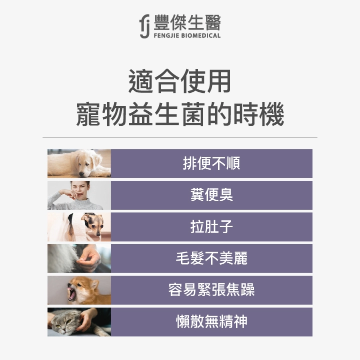 什麼狀況需要讓毛孩吃益生菌?