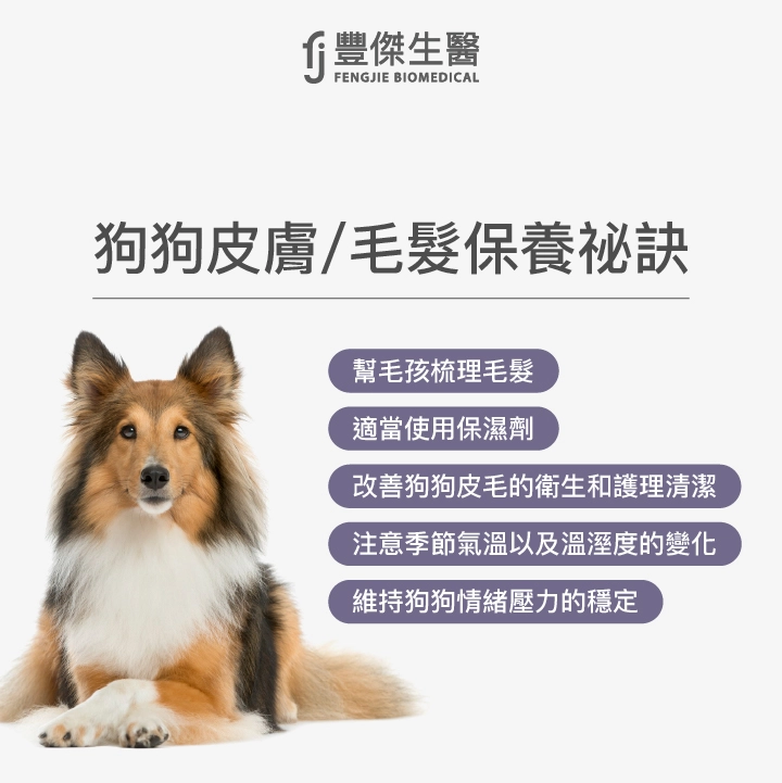狗狗皮膚、毛髮平日如何保養？