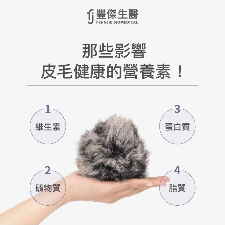 影響狗狗皮毛健康的2類營養素