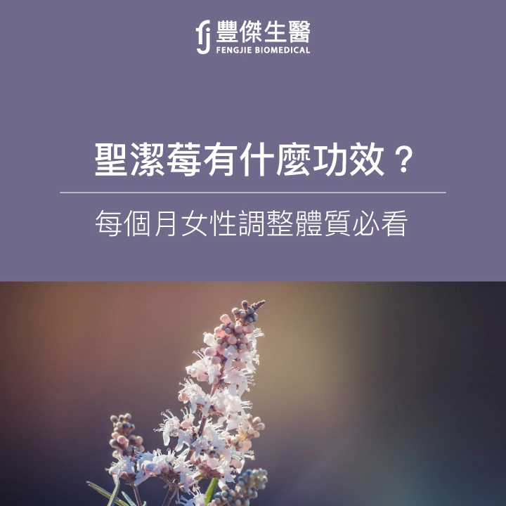 聖潔莓功效有哪些?適合誰吃?吃法、副作用與6大禁忌一次看
