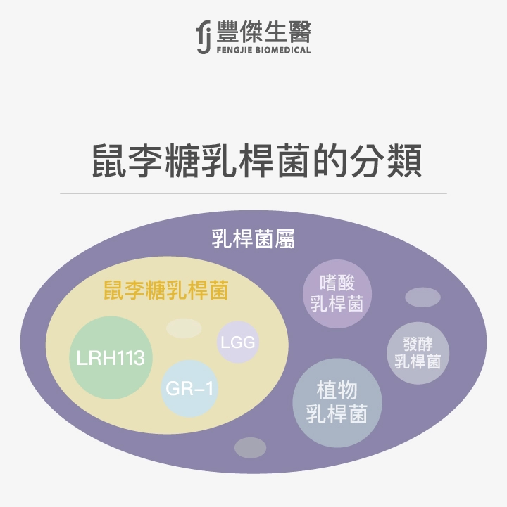鼠李糖乳桿菌的分類