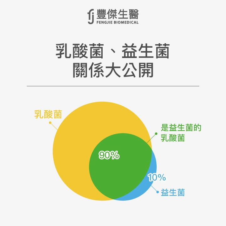 乳酸菌與益生菌的功效、差別在哪？