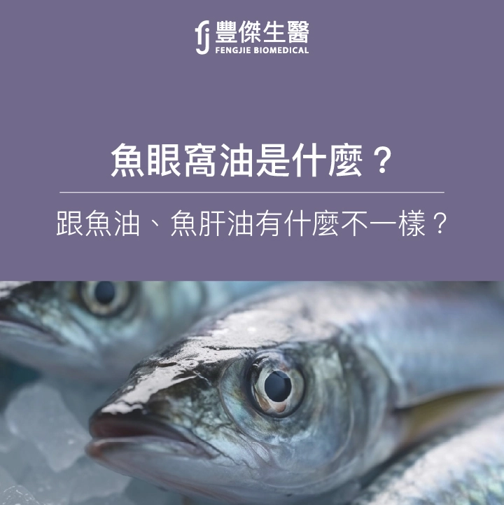 魚眼窩油是什麼？跟魚油、魚肝油有什麼不一樣？