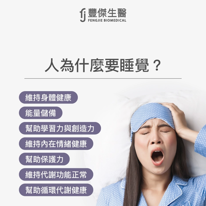 人為什麼要睡覺？是為了身體健康、能量儲備、保護力、維持代謝正常、幫助循環健康等