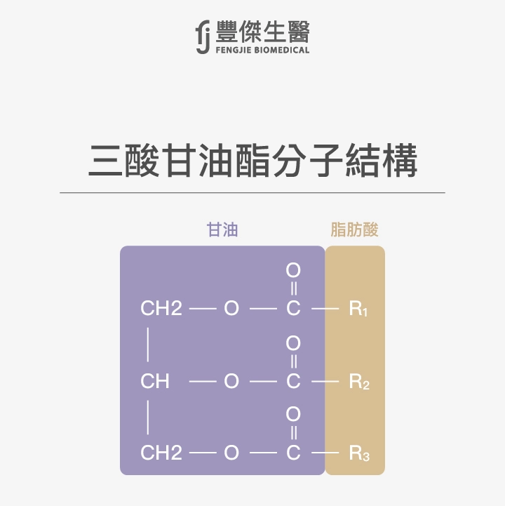三酸甘油酯分子結構