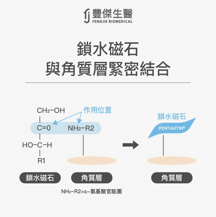 鎖水磁石與角質層緊密結合