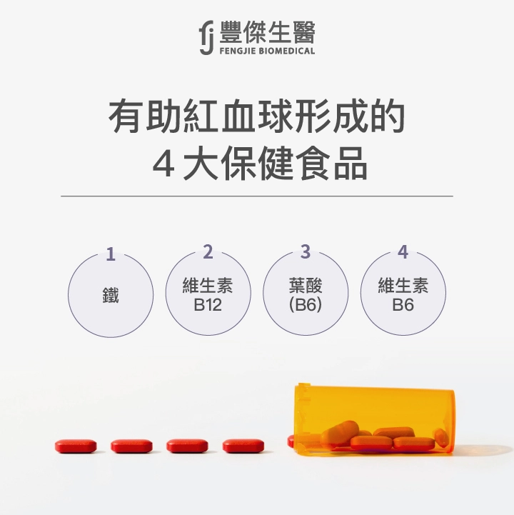 有助紅血球形成的4大保健食品：鐵質、維生素B12、葉酸（B9）、維生素B6