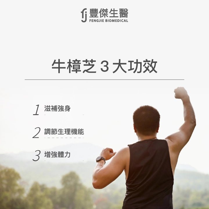 牛樟芝3大功效:滋補強身、調節身體機能、增強體力