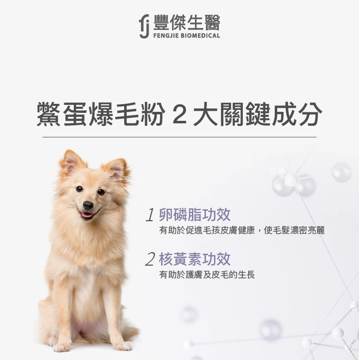 鱉蛋爆毛粉2大關鍵成分:卵磷脂有助於促進毛孩皮膚健康、核黃素有助於護膚及皮毛的生長