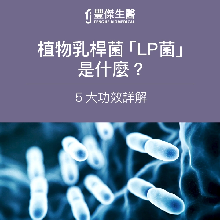 植物乳桿菌「LP菌」是什麼?5大功效專家詳解
