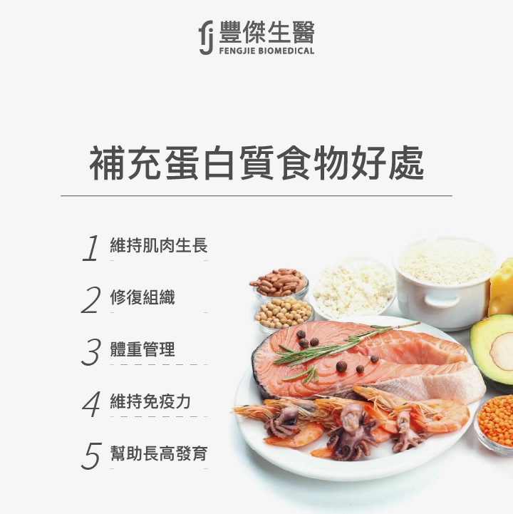 補充蛋白質食物好處：維持肌肉生長、修復組織、體重管理、維持免疫力、幫助長高發育