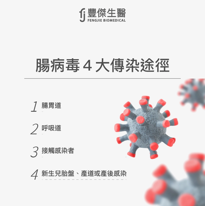 腸病毒4大傳染途徑：腸胃道、呼吸道、接觸感染者、新生兒胎盤、產道或產後感染