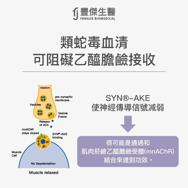 類蛇毒血清 可阻礙乙醯膽鹼接收