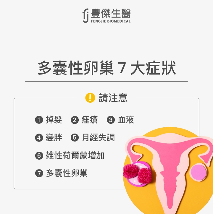 多囊性卵巢7大症狀:掉髮、痤瘡、血液、變胖、月經失調、雄性荷爾蒙增加、多囊性卵巢