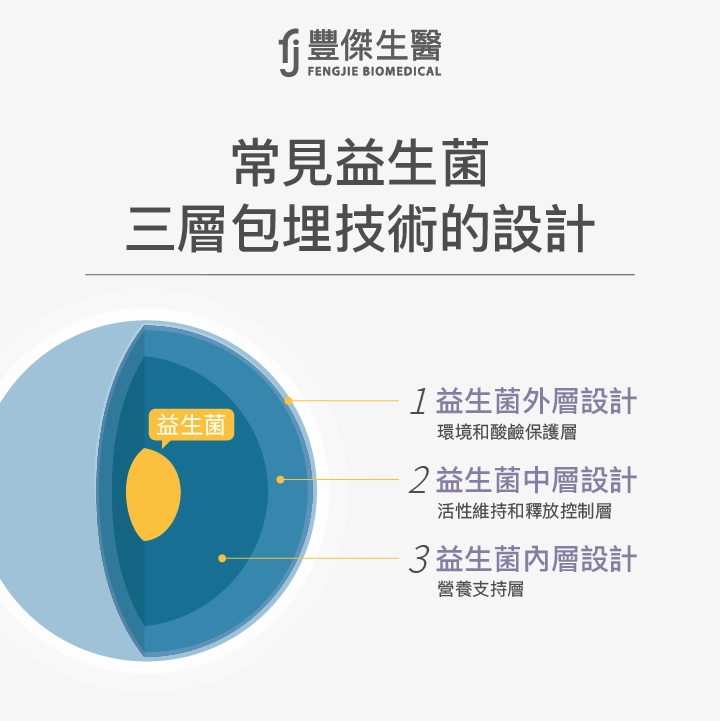常見益生菌三層包埋技術的設計