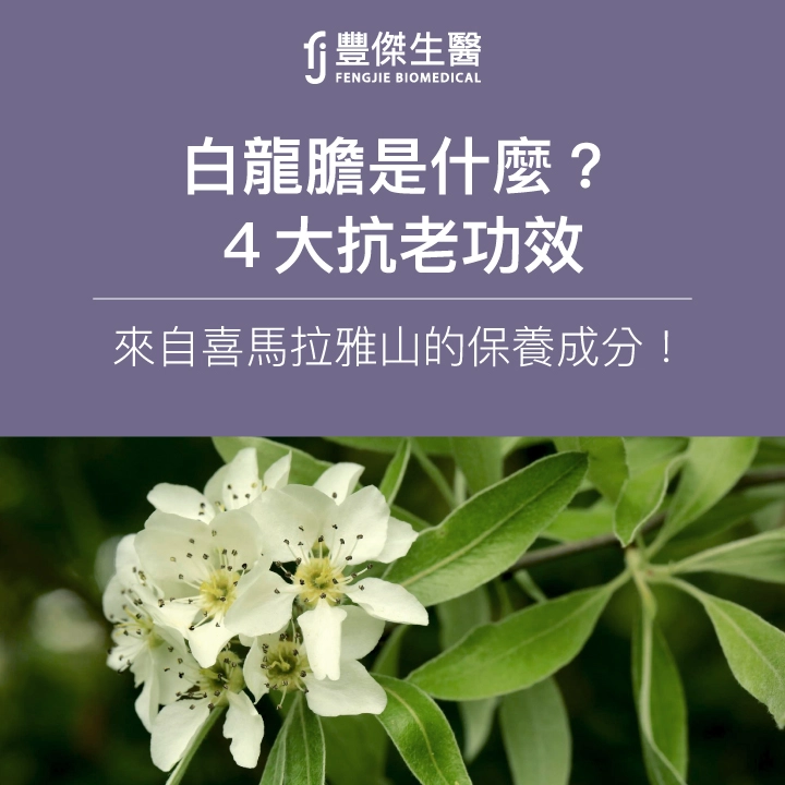 白龍膽是什麼？4大抗老功效：來自喜馬拉雅山的保養成分！