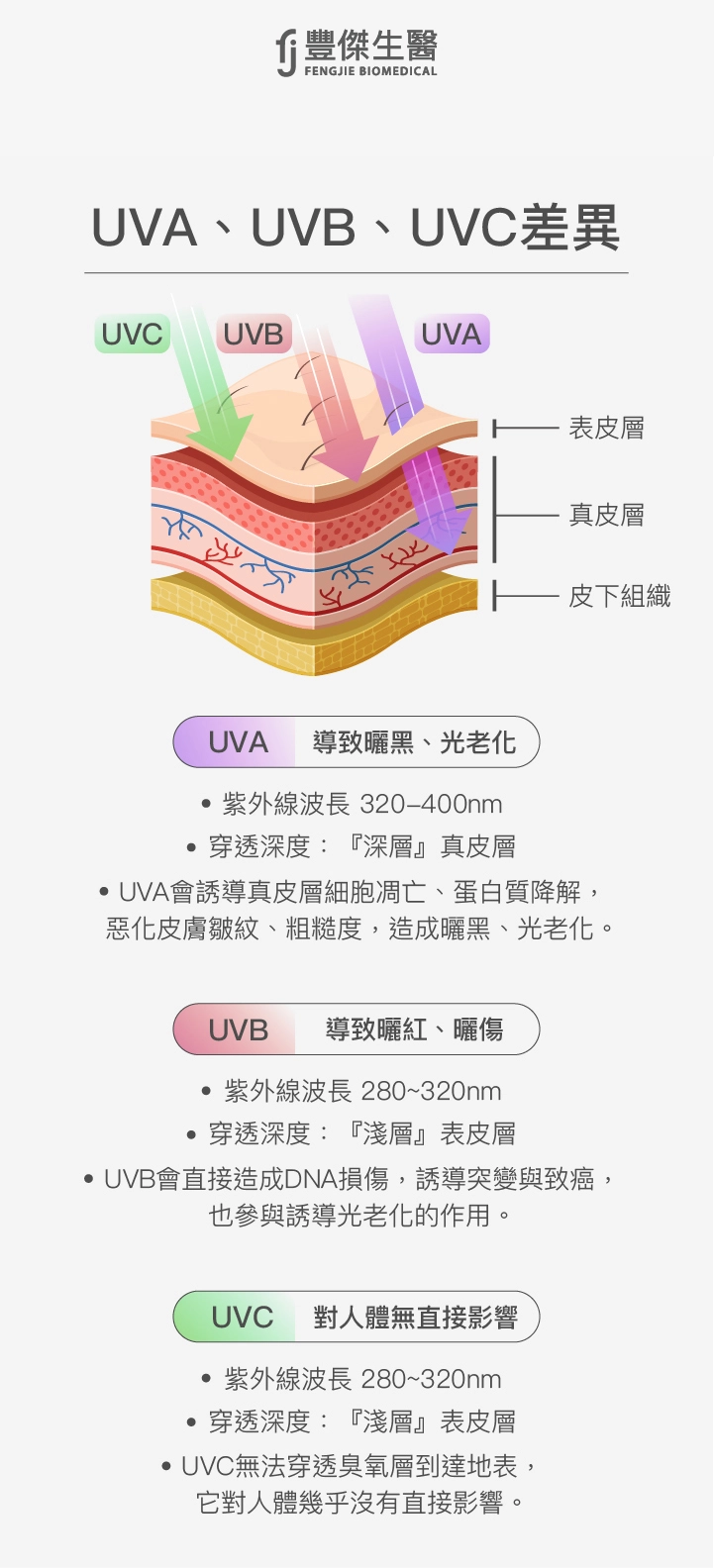 UVA、UVB、UVC差異