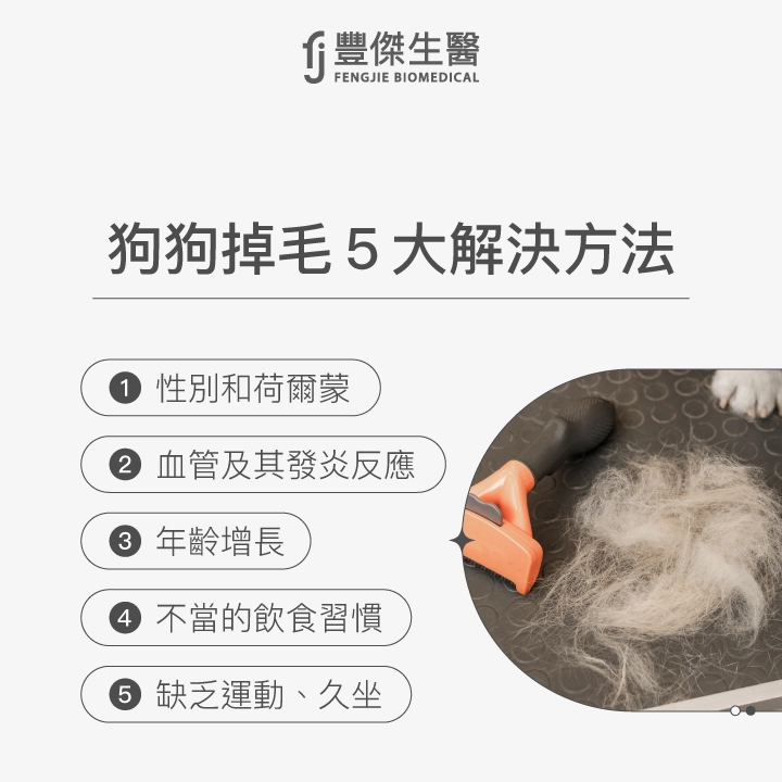 狗狗掉毛5大解決方法:調整飲食、定期梳理毛髮、保持皮膚清潔與健康、使用寵物護理保養品、防止外部寄生蟲、尋求獸醫協助