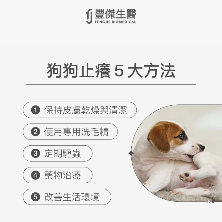 狗狗止癢5大方法：使用專用洗毛精、保持皮膚乾燥與清潔、定期驅蟲、藥物治療、改善生活環境