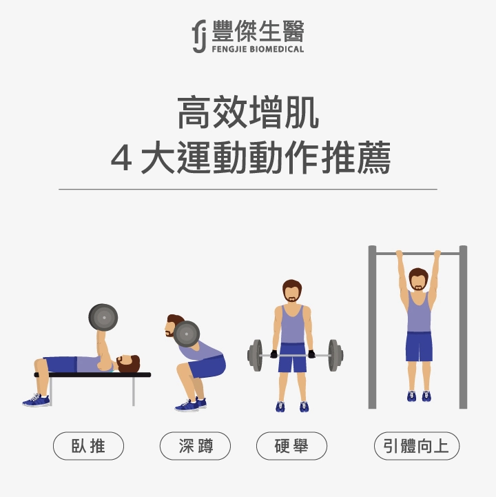 高效增肌4大運動動作推薦:深蹲、硬舉、臥推、引體向上