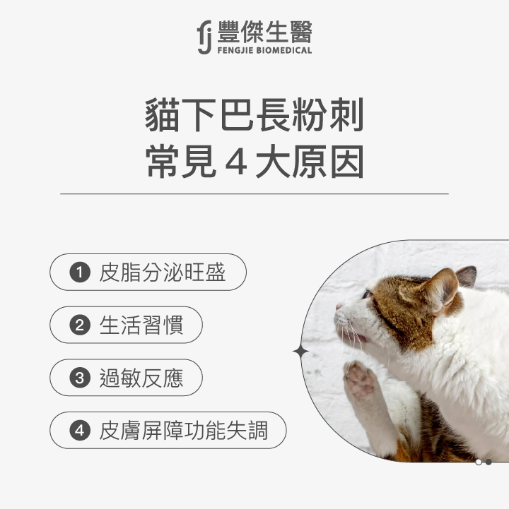 貓下巴長粉刺常見4大原因：皮脂分泌旺盛、生活習慣、過敏反應、皮膚屏障功能失調
