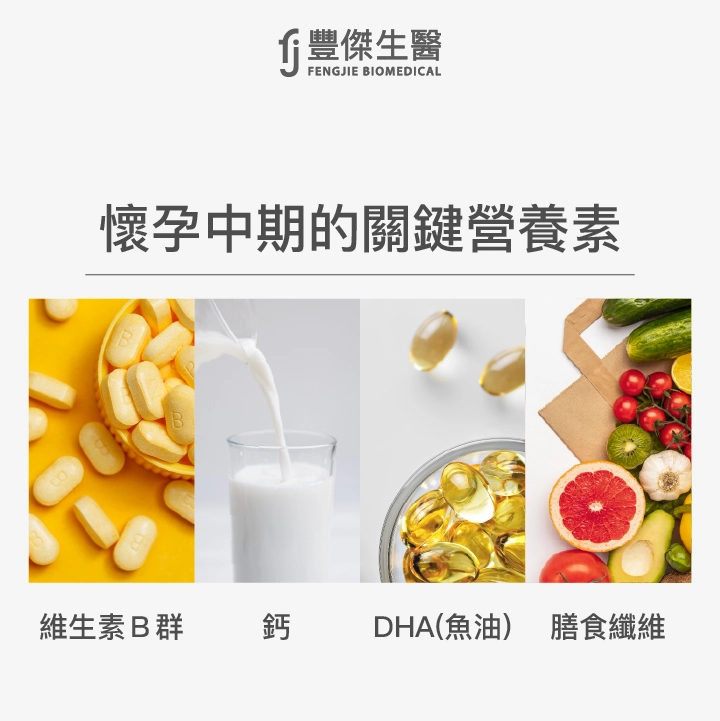 懷孕中期的關鍵營養素:維生素B群、鈣、DHA魚油、膳食纖維