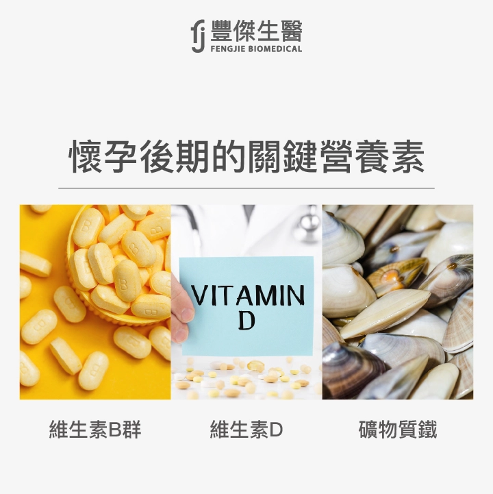 懷孕後期的關鍵營養素:維生素B群、維生素D、礦物質鐵