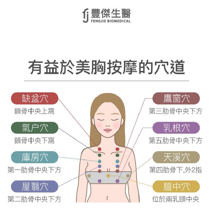 有益於美胸按摩的穴道：缺盆穴、氣戶穴、庫房穴、屋翳穴、鷹窗穴、天溪穴、乳根穴、膻中穴