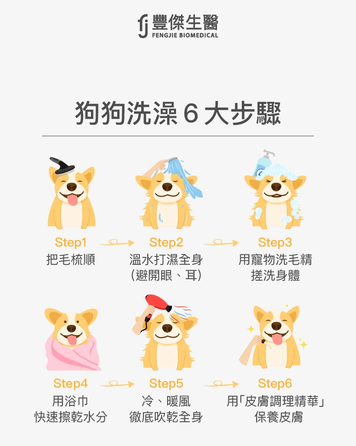 狗狗洗澡6大步驟：Step1 把毛梳順，Step2 溫水打濕全身(避開眼、耳)，Step3 用寵物洗毛精搓洗身體，Step4 用浴巾快速擦乾水分，Step5 冷/暖風徹底吹乾全身，Step6 用皮膚調理精華保養皮膚。