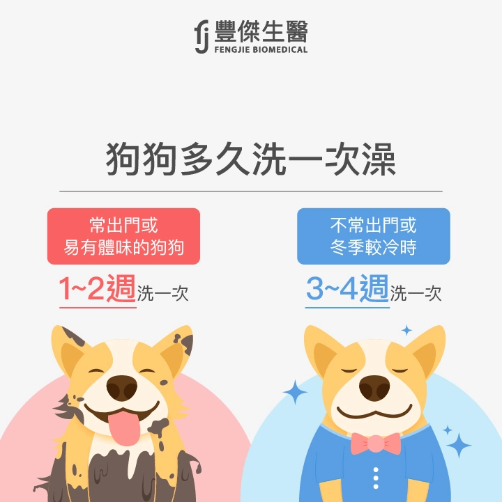 狗狗多久洗一次澡：常出門或易有體味的狗狗1~2週洗一次，不常出門或冬季較冷時3~4週洗一次。