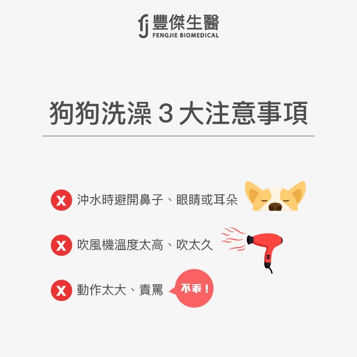 狗狗洗澡3大注意事項：沖水時避開鼻子、眼睛或耳朵；吹風機溫度不宜過高或吹太久；動作要溫和，避免驚嚇狗狗。