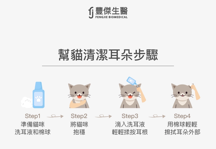 幫貓咪清潔耳朵步驟：準備洗耳液與棉球、抱穩貓咪、滴入洗耳液輕揉耳根、用棉球輕輕擦拭耳朵外部。