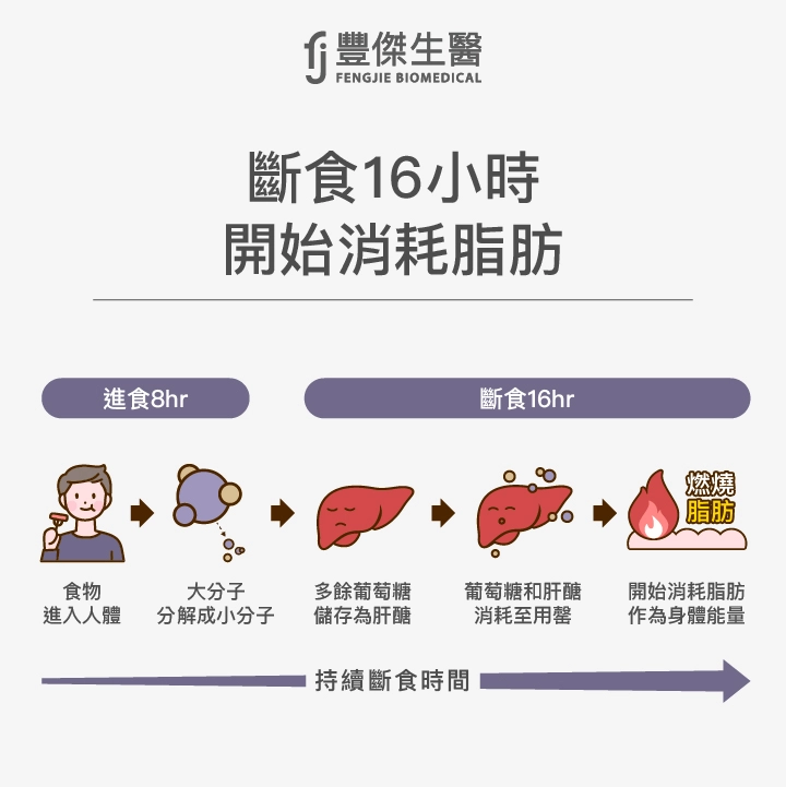 168斷食期間的消耗脂肪歷程