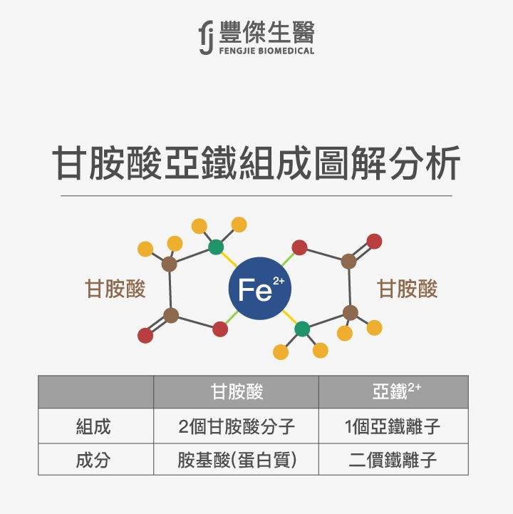 甘胺酸亞鐵組成圖解分析