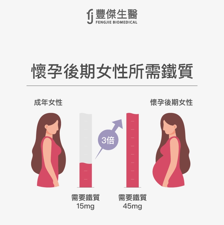 懷孕後期女性所需鐵質：孕婦比一般成年女性需要3倍的鐵劑