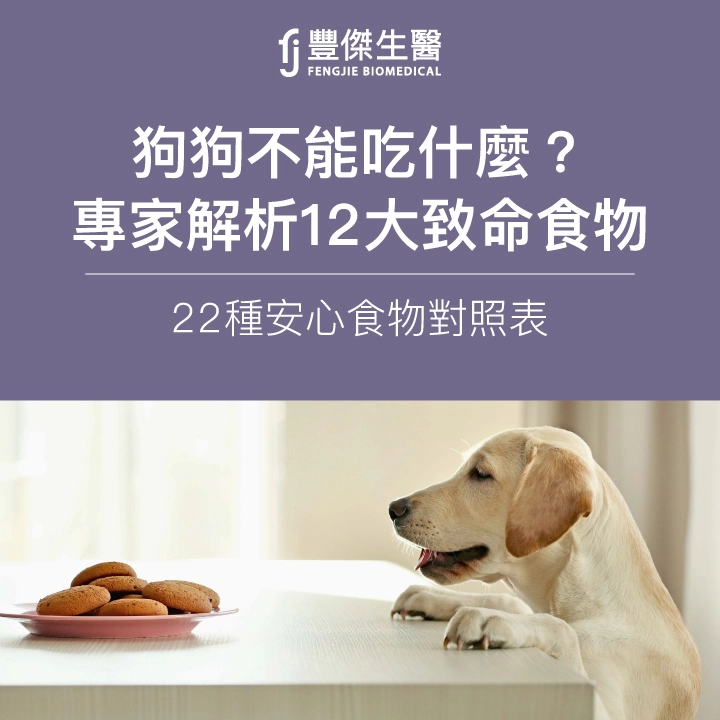 狗狗不能吃什麼？專家解析12大致命食物＋22種安心食物對照表