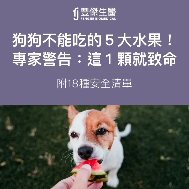 狗狗不能吃的5大水果！專家警告：這1顆就致命（附18種安全清單）