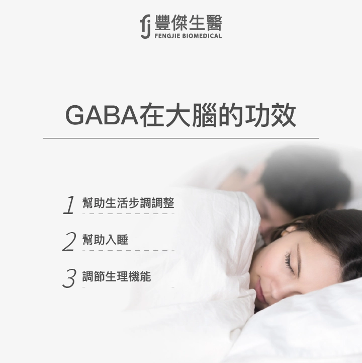 GABA在大腦的功效：幫助生活步調調整、幫助入睡、調節生理機能