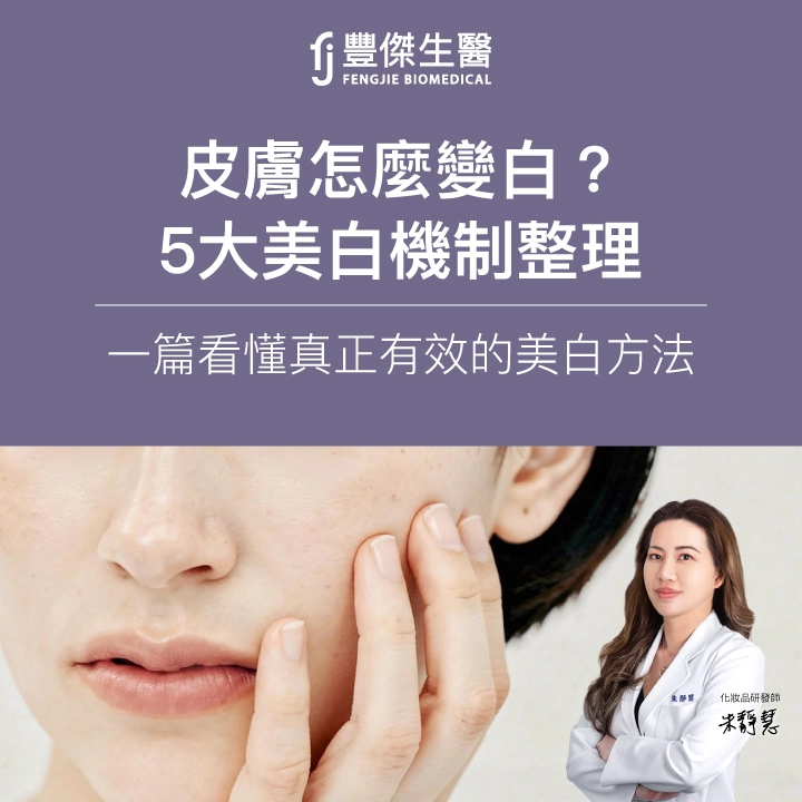 皮膚怎麼變白？5大美白機制整理，一篇看懂真正有效的美白方法