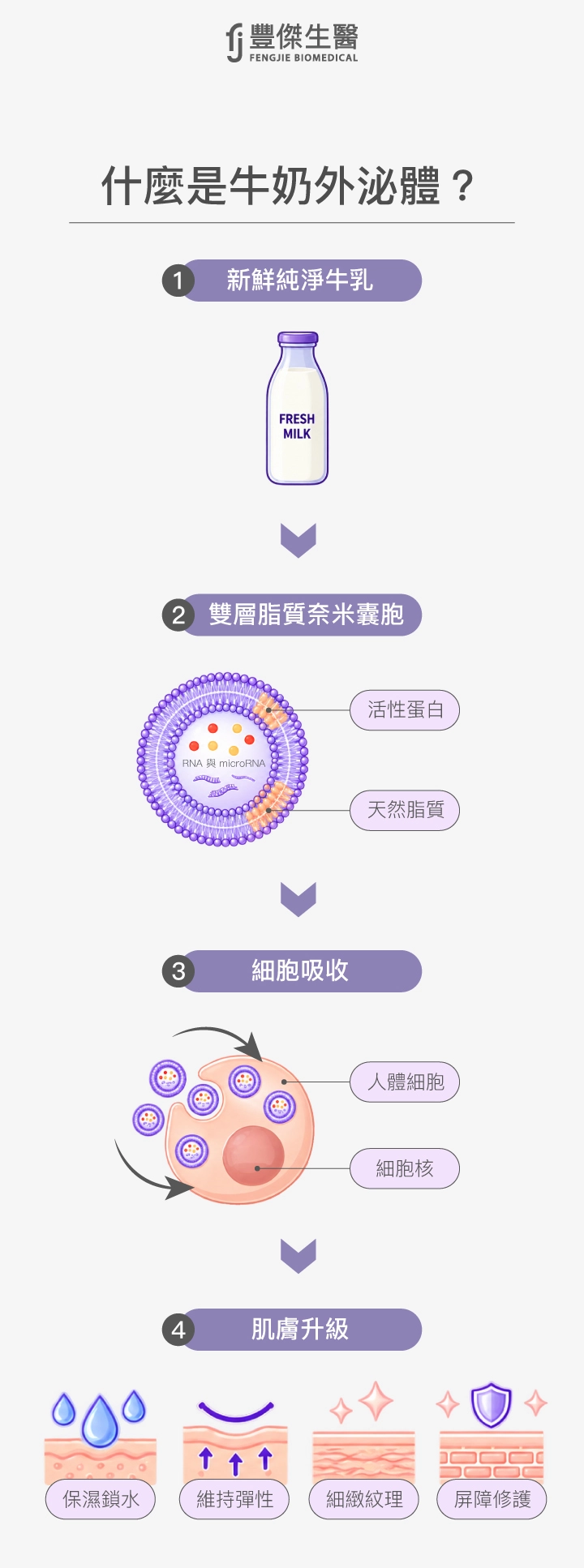 牛奶外泌體是什麼?