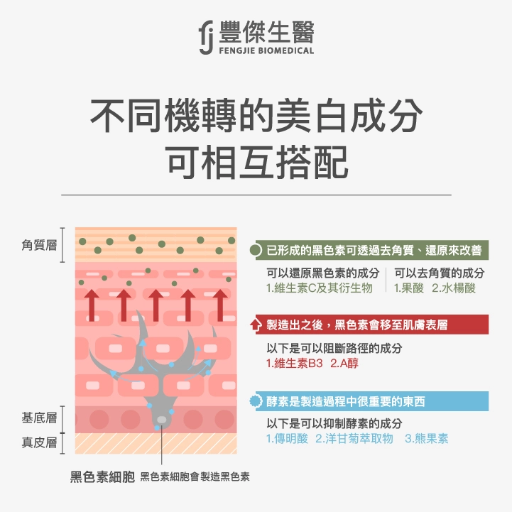 不同機轉的美白成芬可相互搭配