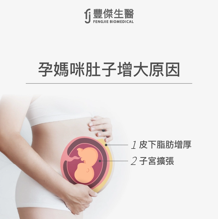孕媽咪肚子增大原因:皮下脂肪增厚、子宮擴張