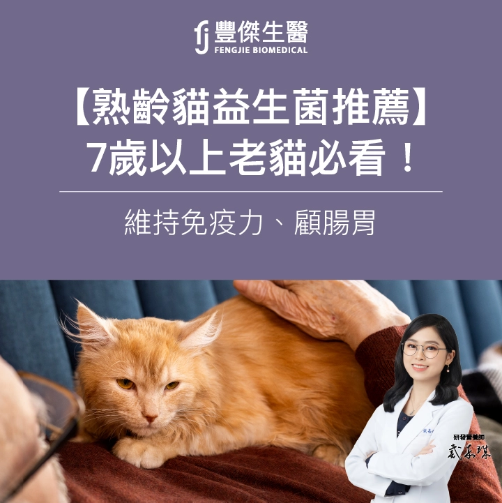 【2026熟齡貓益生菌推薦】7歲以上老貓必看！維持免疫力、顧腸胃