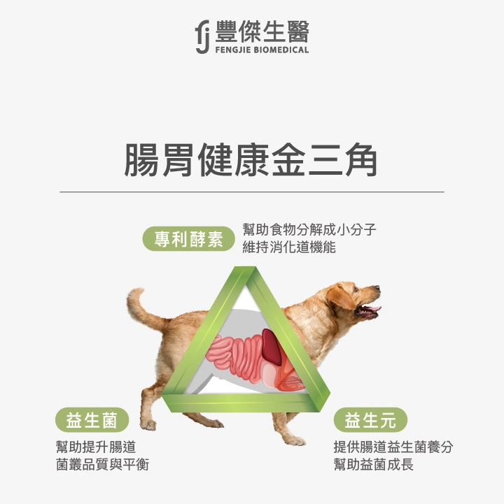 豐傑「黃金三角配方」：寵物腸胃保健首選