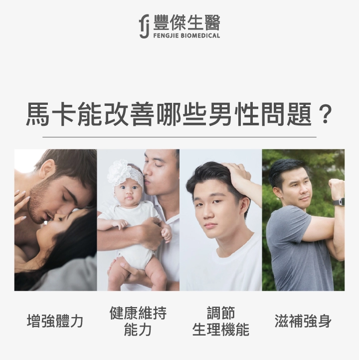 馬卡能改善的男性問題：增強體力、健康維持能力、調節生理機能、滋補強身