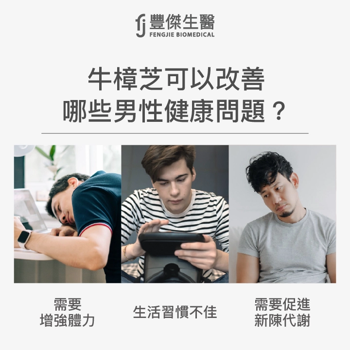 牛樟芝可以改善的男性健康問題：需要增強體力、生活習慣不佳、需要促進新陳代謝