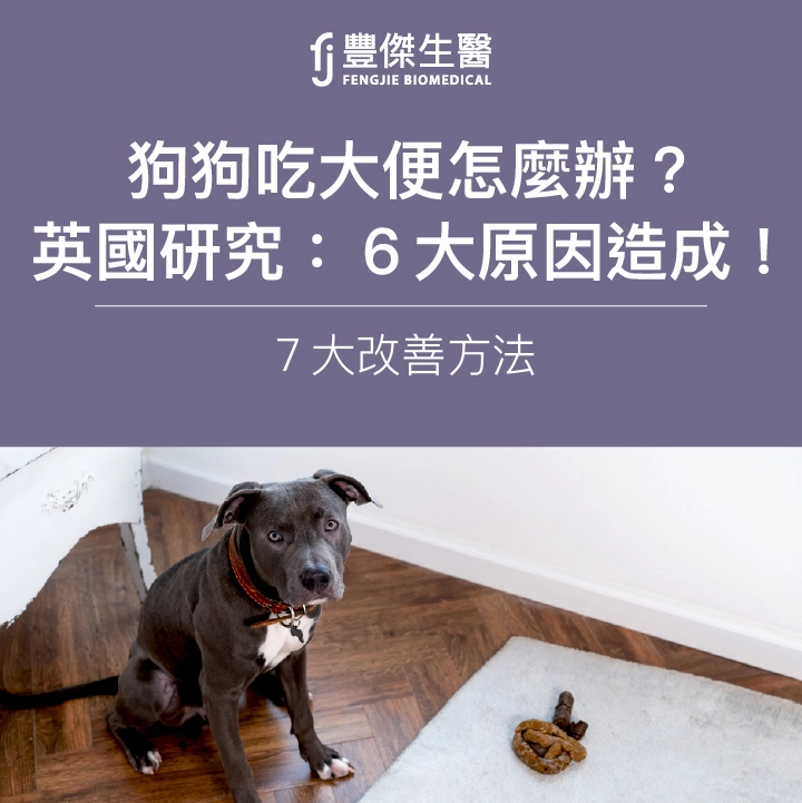 狗狗吃大便怎麼辦？英國研究：6大原因造成！7大改善方法